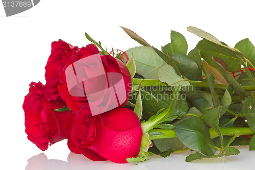 Image of Bunch of red roses