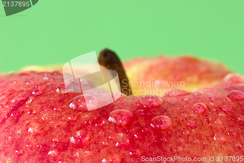 Image of  wet apple on a green background