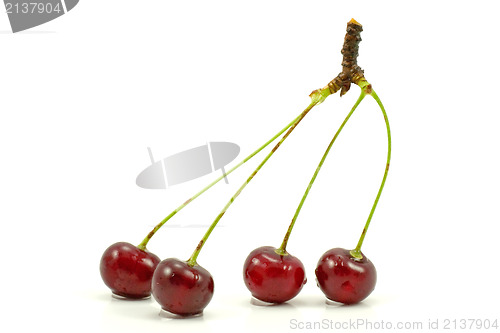 Image of dark red cherries 