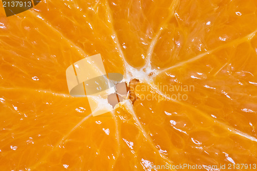 Image of close-up of  orange fruit