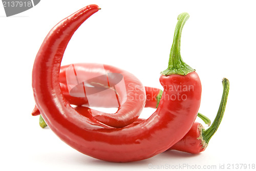 Image of chili peppers over a white background
