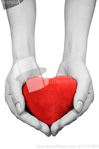 Image of hands with heart isolated on white