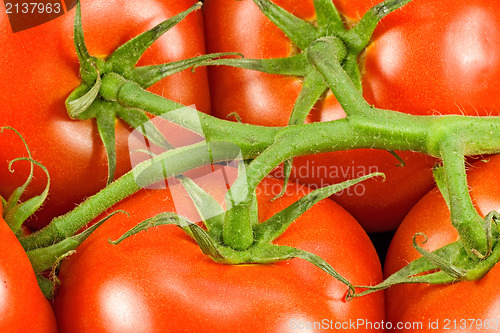 Image of close up of red  tomatoes