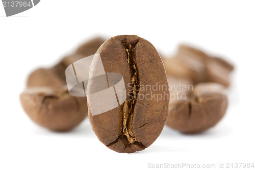 Image of close-up of roasted coffee beans