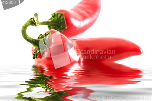 Image of Hot and cool