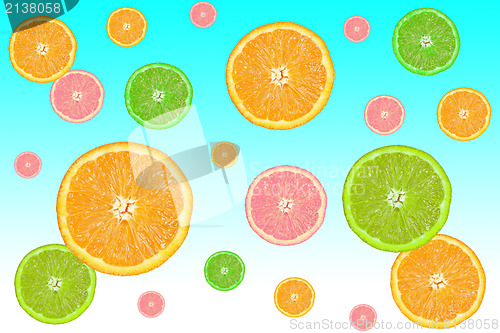 Image of colorful slices of citrus fruits