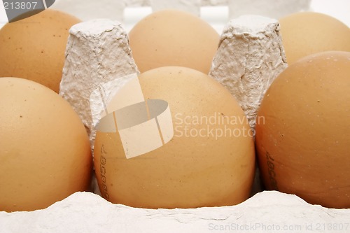 Image of Six brown eggs in a box