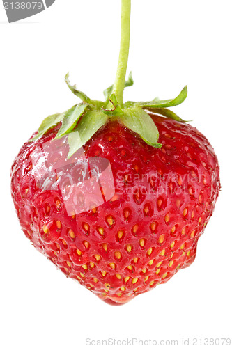 Image of Red strawberries berry 