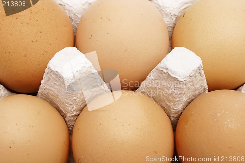Image of Six brown eggs in a box
