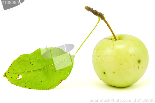 Image of  apple with leaf