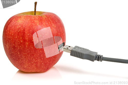 Image of  apple and USB plug