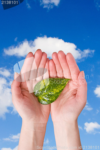 Image of hands holding leaf on sky background