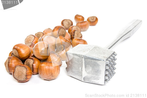 Image of hazelnuts and metal hammer