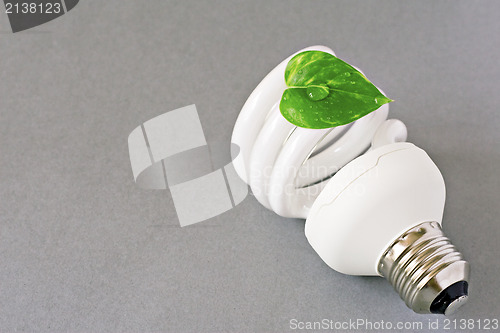 Image of eco lightbulb with green leaf