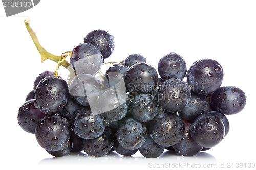 Image of ripe blue grapes