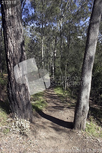 Image of Pathway