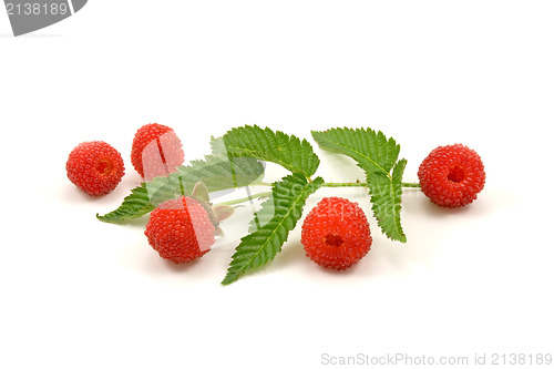 Image of Raspberries