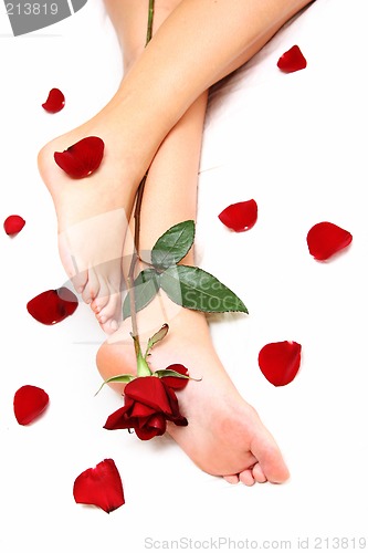 Image of Legs and Rose