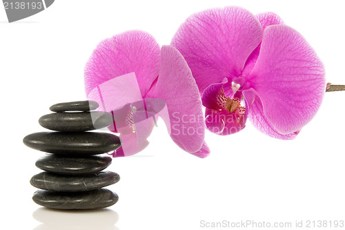 Image of pink orchid and stones