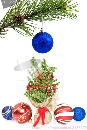 Image of pine branch and christmas decorations