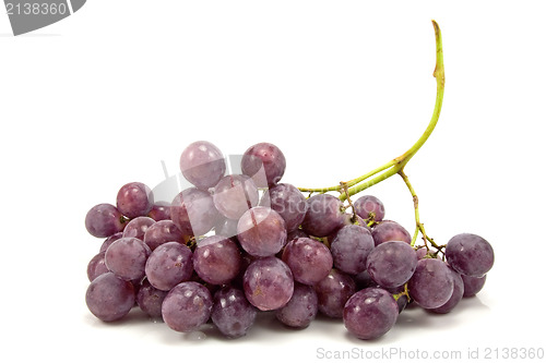 Image of bunch of blue grapes