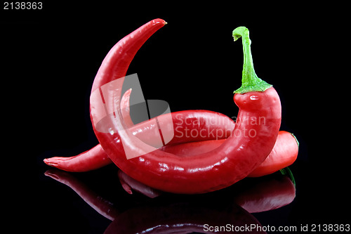 Image of peppers on black background