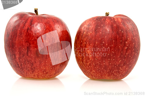 Image of two fresh rip apples