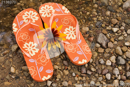 Image of flip flops  beside the river