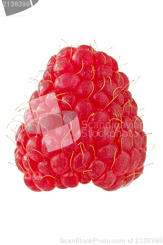 Image of ripe red raspberry