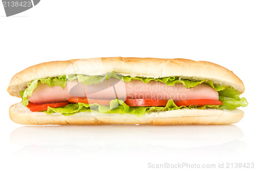 Image of hot dog on white background