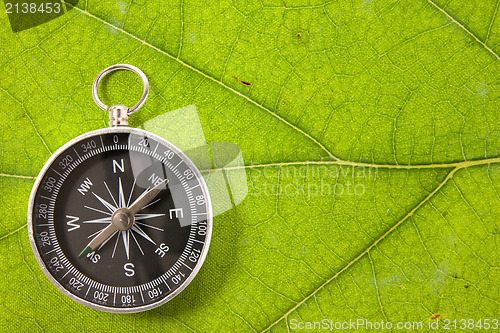 Image of Compass on the leaf texture