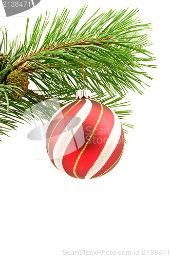 Image of branch with christmas ball , over a white background