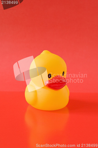 Image of rubber duckling on red background