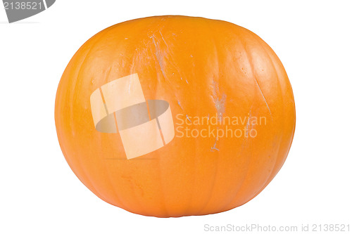 Image of big orange pumpkin 