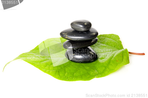 Image of black stones on the leaf