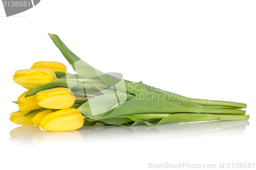 Image of Bouquet of yellow tulips on white