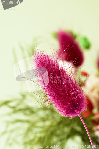 Image of dried flowers