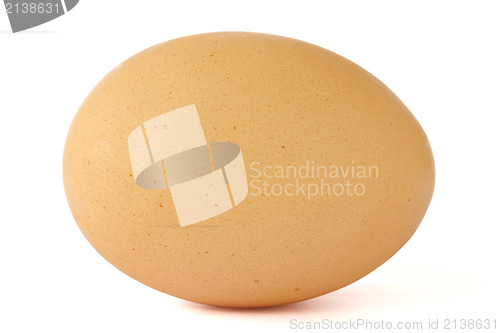 Image of brown chicken egg 