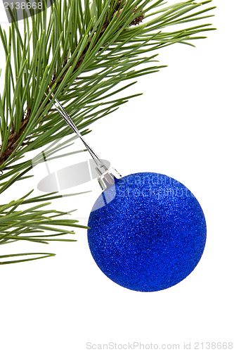 Image of pine branch with blue christmas bauble