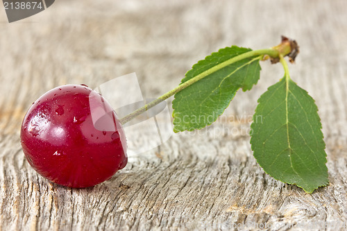 Image of cherry with leaf 