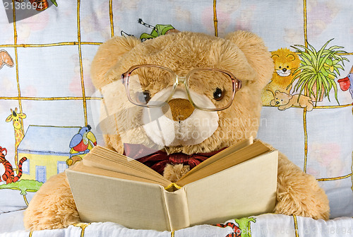 Image of teddy-bear with glasses reading a book