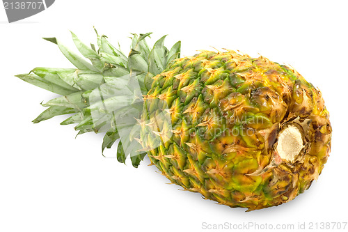 Image of pineapple isolated on a white background