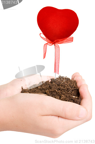 Image of hands with soil and growing heart