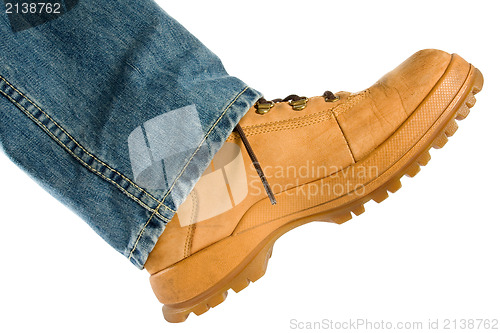 Image of Male foot in brown shoe