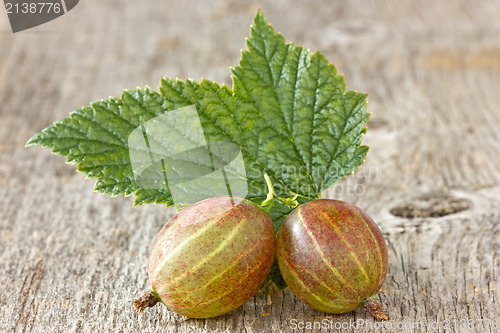 Image of gooseberries with leaf 