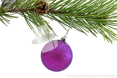 Image of branch with purple christmas bauble
