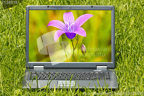 Image of computer with beautiful flower  on screen 