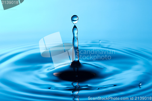 Image of  drop falling into water 