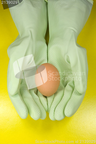 Image of egg in a hands with rubber gloves