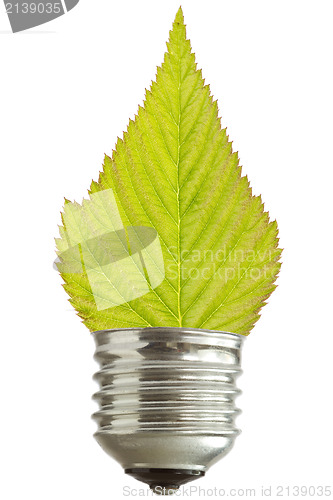 Image of light bulb with leaf